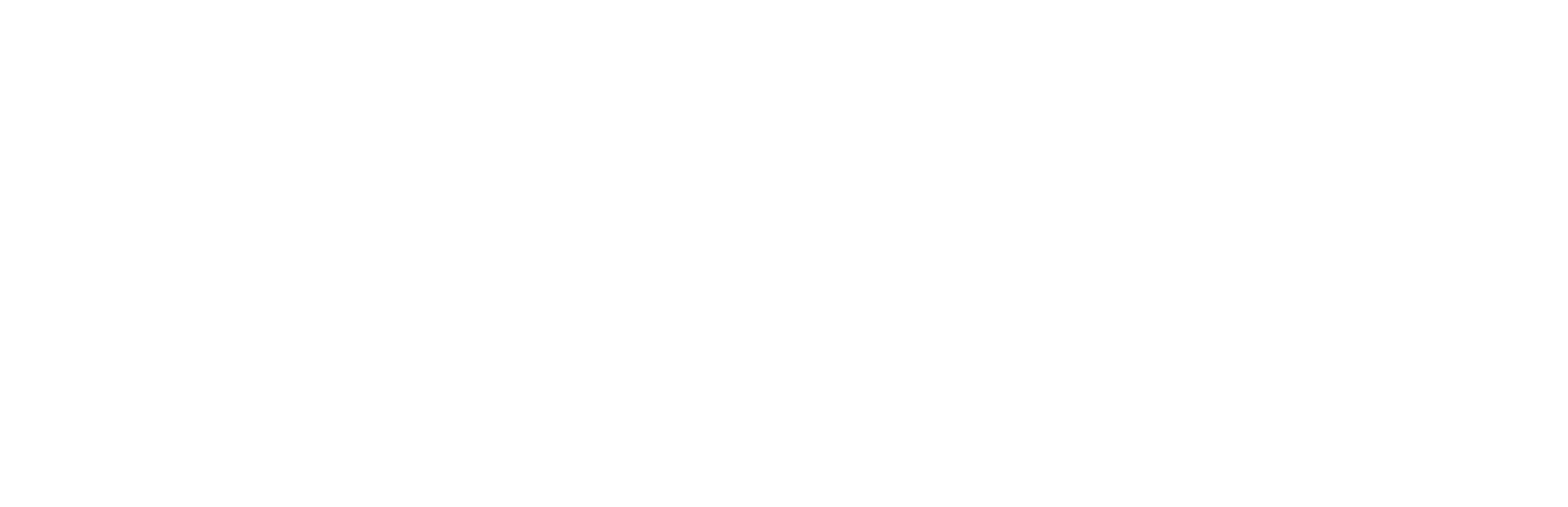 logo light